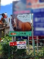 神奈川県横浜市緑区内 ロードサイン(野立て看板)　貸し看板 アバロンヒルサイドファームさま