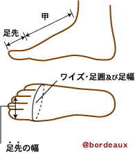 足の呼び方の定義