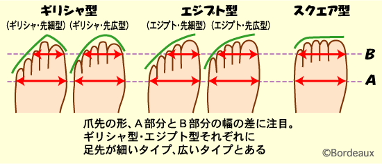 足のタイプ