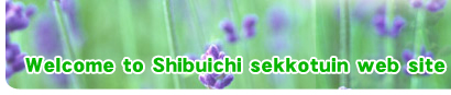 Welcome to Shibuichi sekkotuin web site