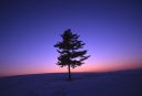 2月下旬の日没後です。長時間露光（長い間シャッターを開ける撮影）により写真でしか表現できない画です。