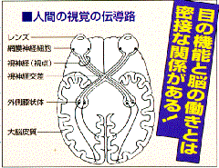 ガンマー１０